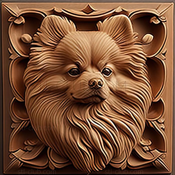 3D model st Pomeranian dog (STL)